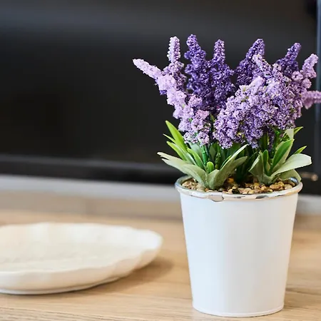 Bicocca Elyon Διαμέρισμα *