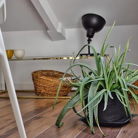 Just Urban - Stunning Penthouse With Balcony - Porta Venezia