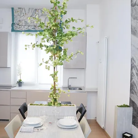 Magnolia - 7sundays Milán