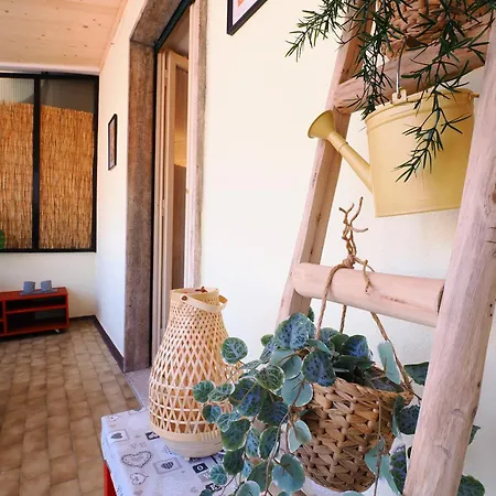 Primopiano - Semplicita *