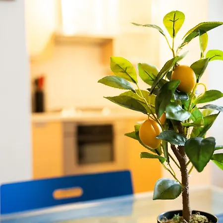 Quiet Flat In Pta Venezia Apartment Milan