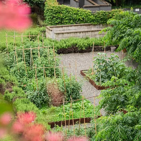 Homeby, Oasis Apartamento