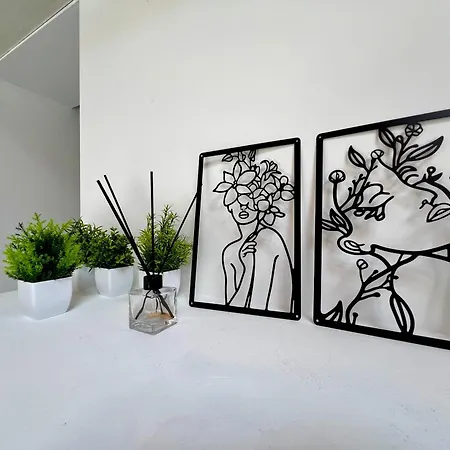 Apartment Big Mansarda Goldoni - Duomo M4 Lin Airport *