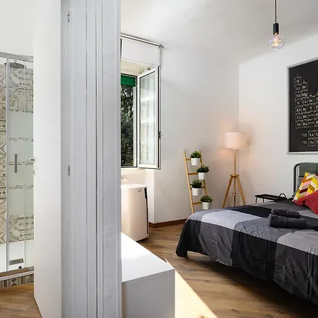 Insubria 8-2 - Monolocale Cool