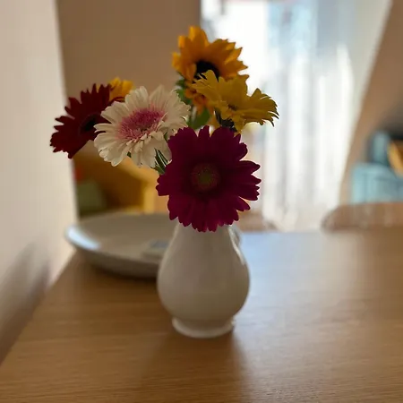 Appartement Easy Isola, For An Easy