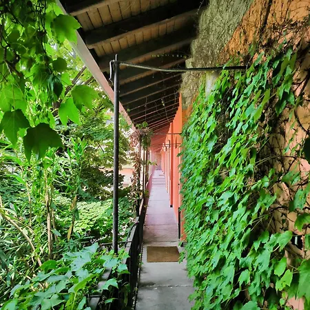 Niccolini Sarpi Food&design Modern In Chinatown Mailand