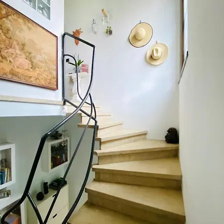 The Luxory Cat Bed & Breakfast