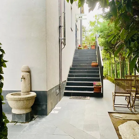 The Luxory Cat Bed & Breakfast Milan