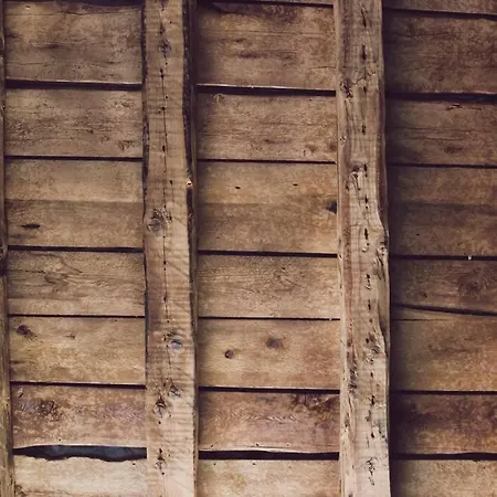 Yellow House By Costanza