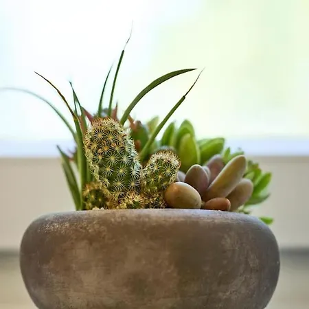 Daire Nuovissimo Bilocale Naba Navigli Milano