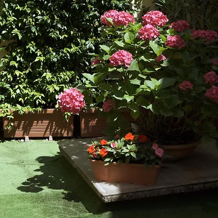 Comecasa Flowery Terraced 公寓 *