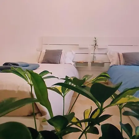 New And Elegant Apartment *