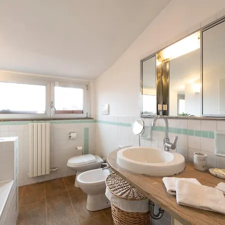 Paradise - 7sundays *