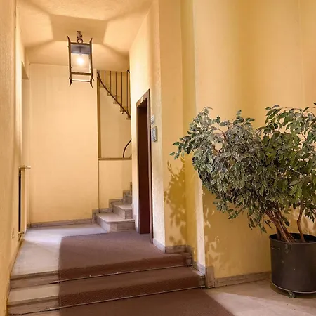 Flower - New Bright In Brera *