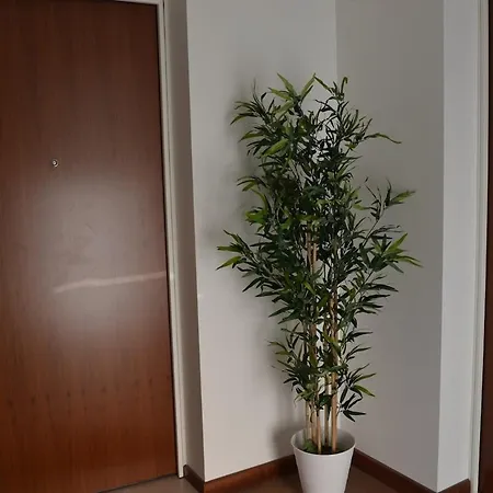 Mascagni Exclusive * 밀라노