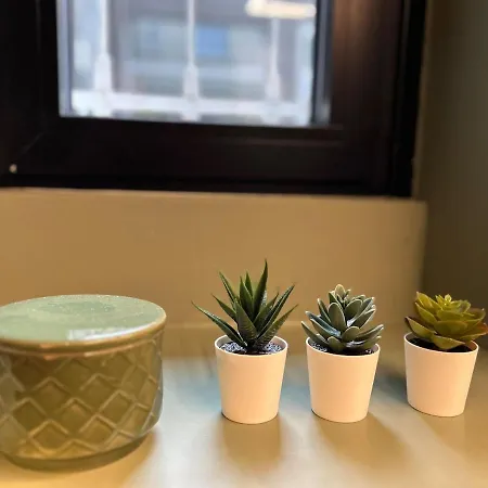 Tree House - Stylish Loft In The Heart Of מילאנו