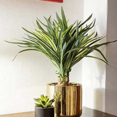 Casa In Palazzo Liberty - E Ben Collegato Daire