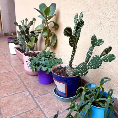 Fiera-mico - Sempione Apartment