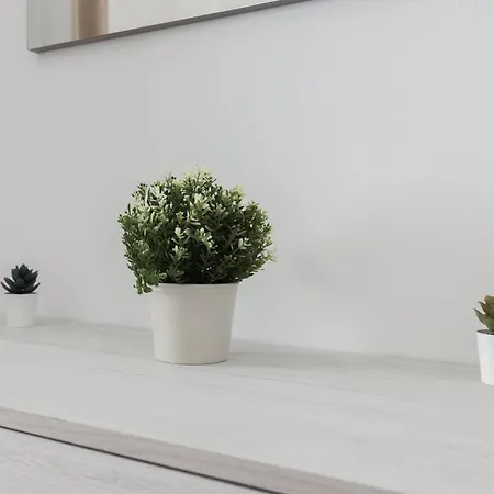 'music Home' 15mincentral Station - Linateairport - Metro