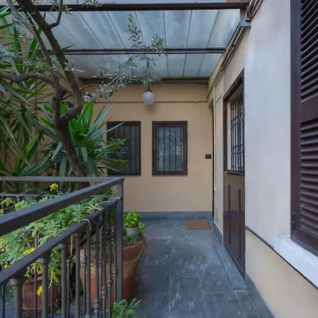 Solferino Comfort Battaglia *