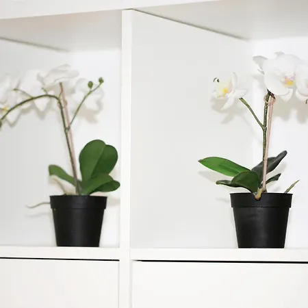 Bellavita Loft Center Near Duomo,central Station, Navigli 아파트 밀라노