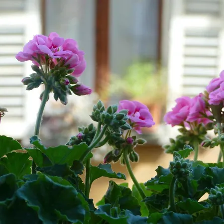 Donna Nilla, A Large&cozy Flat In Porta Venezia Milano