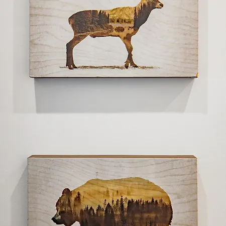 アパート Eclectica *