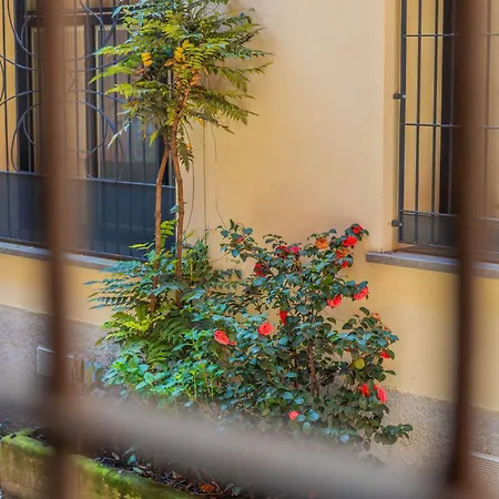 Design Nook - In The Heart Of The Design District