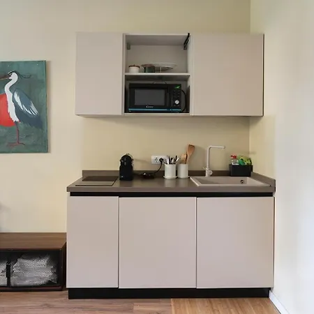 Nuovissimo Monolocale Con Cucina E Terrazzo Daire