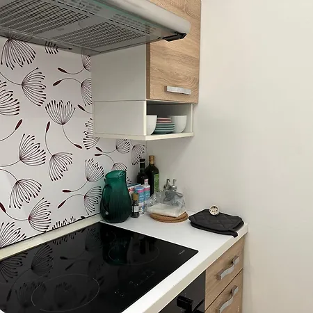 Apartment Privacy - Rome Vittorio * روما