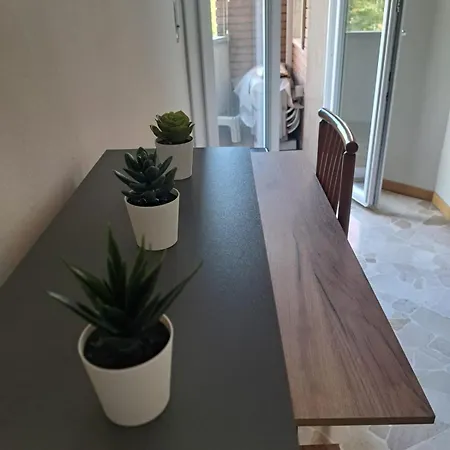 Orea Spiti - Modern Rosselli