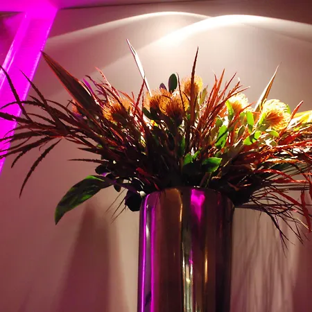 辛那浪灰色酒店