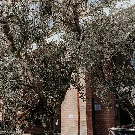 Guesthost - Mecenate Bright Διαμέρισμα