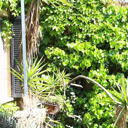 アパート Bamboo Brera Fiorichiari ミラノ