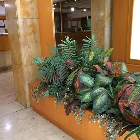 Отель Citta Studi