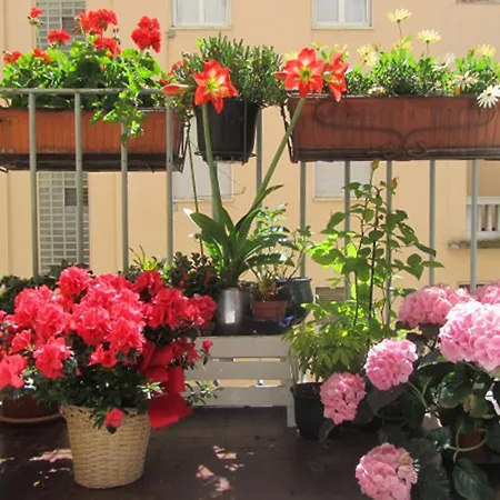 Art Design Duomo Milan