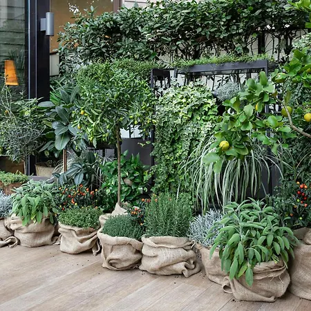 Hotel Starhotels Echo 4*