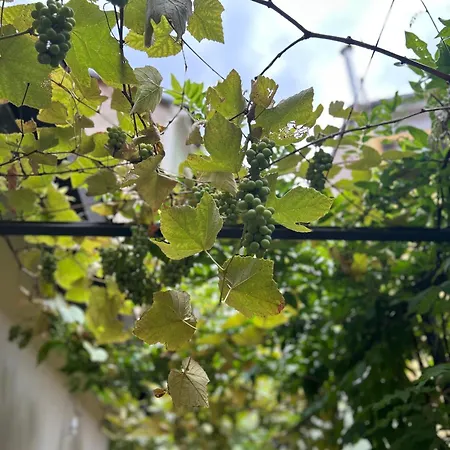 Bed & Breakfast Residenza Radetzky Milano