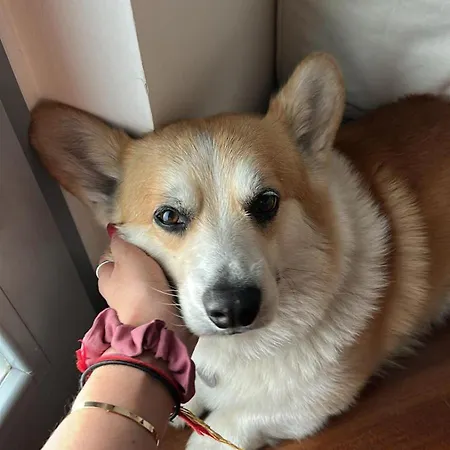 Casa Di Chloe - A 4 Minuti A Piedi Dai Navigli - A 20 Minuti A Piedi Dal Duomo