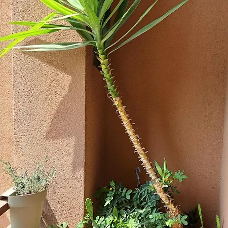 Brand New - 5 Minutes From Istria Metro Station Milán