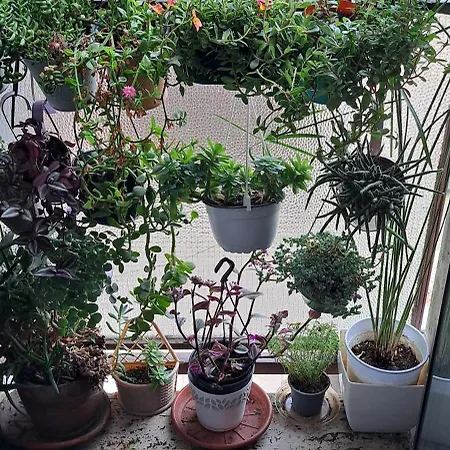 Brand New - 5 Minutes From Istria Metro Station *