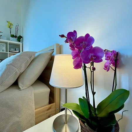 Martinengo30 - Metro M3 Διαμέρισμα