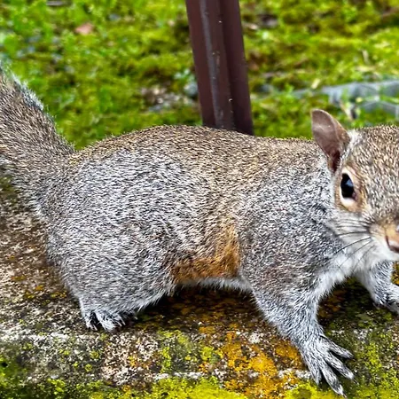 아파트 Tl Apartment, Stadio San Siro Experience 밀라노