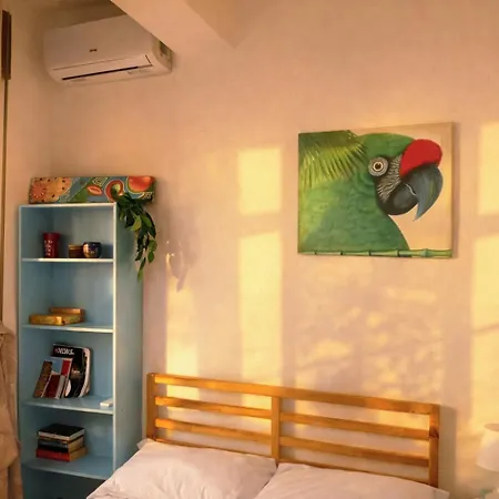 Simonetta - Centro Apartamento