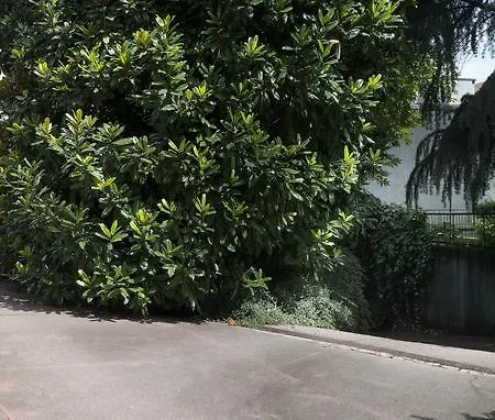 מלון דירות Loreto 3*