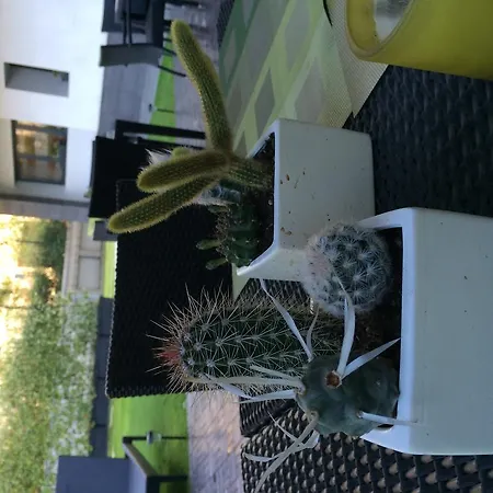 Acca Palace - Aa Milano