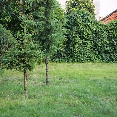 Appartamento Studio In Baggio Milano