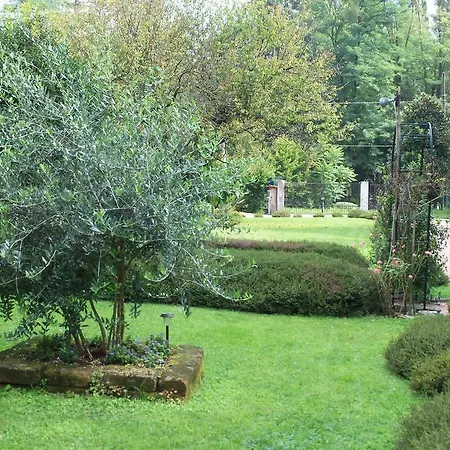 B&B Il Ciliegio Fiorito 솜마롬바르도
