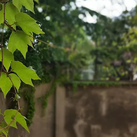 Bnbutler - Broletto 39 - A Few Steps To The Duomo And La Scala Apartment *