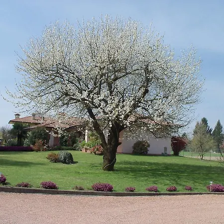 B&B Il Ciliegio Fiorito 2*